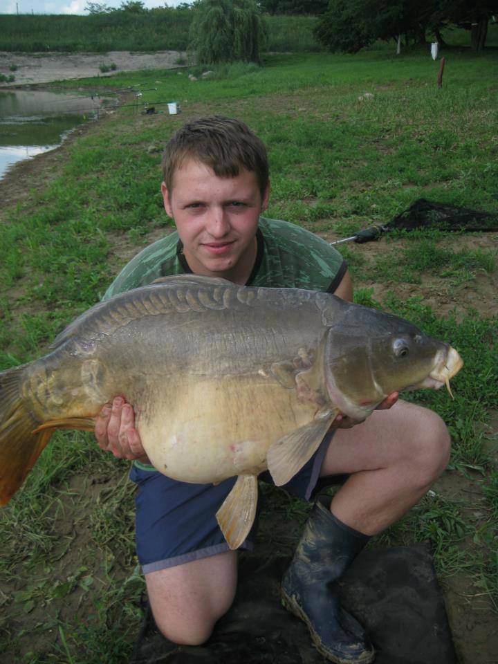 CONCURS LIKE-URI  - VOT PE FACEBOOK  - Robert
Arad